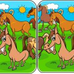 הבדלי בעלי חיים