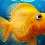 מיכל דגים אקווריום