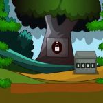 להציל את הארנב האם