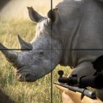 Rhino Hunter Shooting Strike
